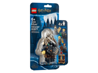 LEGO® Harry Potter Hogwarts 40419 Students Accessory Set